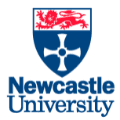 Digital Marketing Courses in Middlesbrough - Newcastle University Logo
