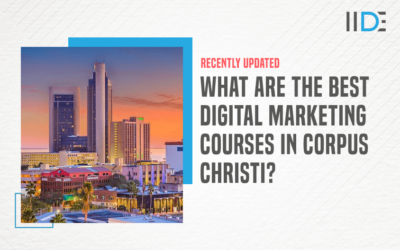 Top 5 Digital Marketing Courses in Corpus Christi to Upskill Yourself
