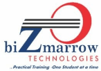 Digital Marketing Courses in Ilorin - Bizmarrow Technologies Logo