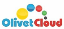 Digital Marketing Courses in Gombe - Olivet Cloud Logo