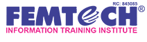 Digital Marketing Courses in Ilorin - Femtech Information Training Institute Logo