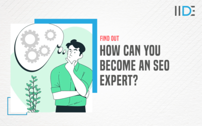 How to Become an SEO Expert in 2022 – Let’s Find Out