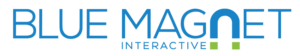 Digital Marketing Courses in Kaduna- blue-magnet-logo