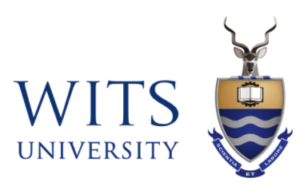 digital marketing courses in MIDRAND - Wits University logo