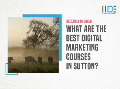 Digital Marketing Course in Sutton - Featured Image