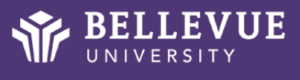digital marketing courses in BELLEVUE - Bellevue University logo