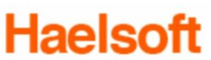 digital marketing courses in ENUGU - Haelsoft logo