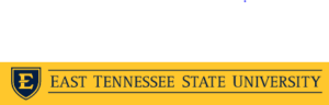 digital marketing courses in MURFREESBORO - East Tennessee State University logo