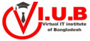 digital marketing courses in NARAYANGANJ - VIIB logo