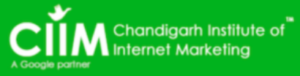 digital marketing courses in SHAHZADPUR - CIIM logo
