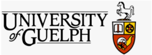 digital marketing courses in HAMILTON - University of gueph logo