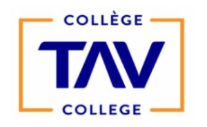 digital marketing courses in LAVAL - TAV College logo