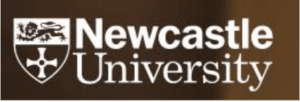 digital marketing courses in NEWCASTLE - Newcstle university logo