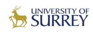 digital marketing courses in SURREY - University of surrey logo