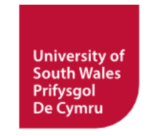 digital marketing courses in SWANSEA - University of south wales logo