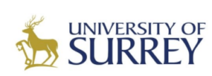 digital marketing courses in WOKING - University of surrey logo