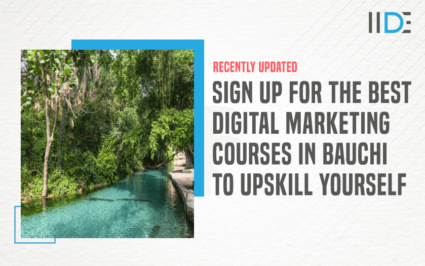 Digital Marketing Course in BAUCHI - featured image