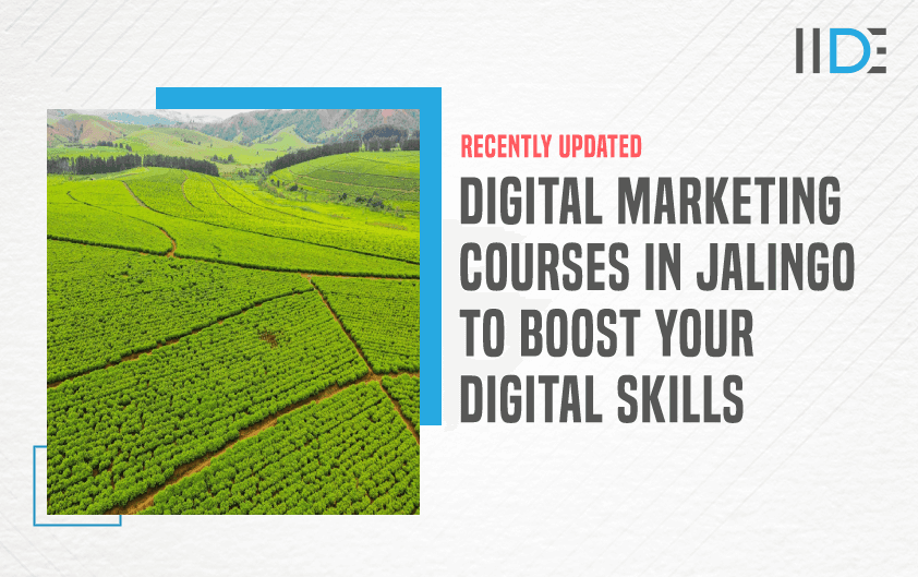 Digital Marketing Course in JALINGO - featured image
