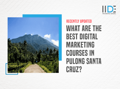 5 Best Digital Marketing Courses in Pulong Santa Cruz 2024 IIDE