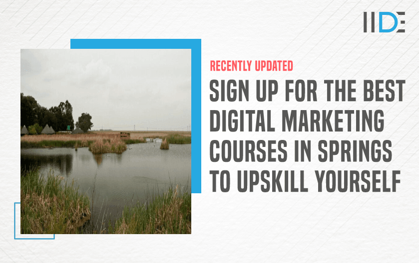 Digital Marketing Course in SPRINGS - featured image