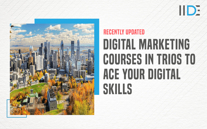Digital Marketing Course in TRIOS - featured image