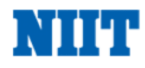 digital marketing courses in NKPOR - NIIT logo