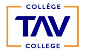 digital marketing courses in SHERBROOKE - TAV College logo