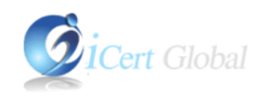 digital marketing courses in SHERBROOKE - iCert global logo