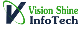 SEO Courses in Rohtak - Vision Shine Info Tech Logo
