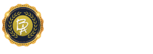 SEO Courses in Tirunelveli- Brassy Academy logo