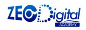 digital marketing courses in INISA - Zeo digital logo