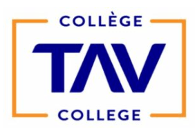 digital marketing courses in LEVIS - TAV College logo