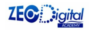 digital marketing courses in SOKOTO - Zeo digital logo