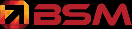 SEO Courses in Eugene - BSM Logo