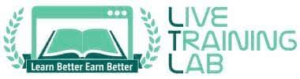 SEO Courses in Larkana - Live Training Lab Logo