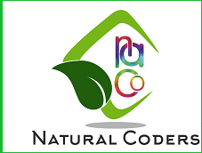 SEO Courses in Palwal - Natural Coders Logo