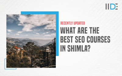 6 Best SEO Courses In Shimla To Kick-Start Your Career
