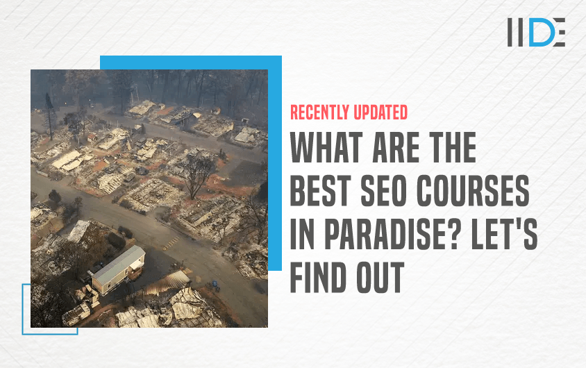 SEO Courses in Paradise - Featured Image