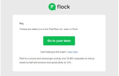 Marketing Strategy of Flock - Campaign 1