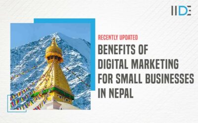 Best Benefits Of Digital Marketing For Small Businesses in Nepal