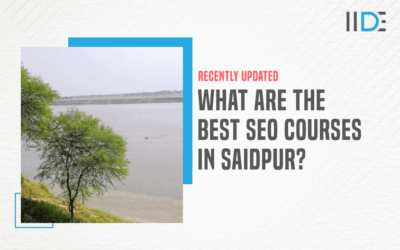 5 Best SEO Courses In Saidpur For Absolute Beginners