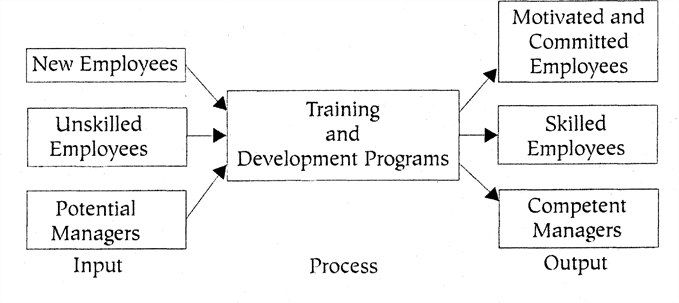 training and development for employees - human resource management