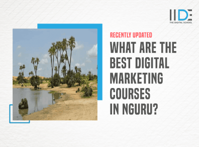 Digital Marketing Course in Nguru - Featured Image