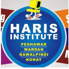 SEO Courses in Islamabad- Haris Institute Logo