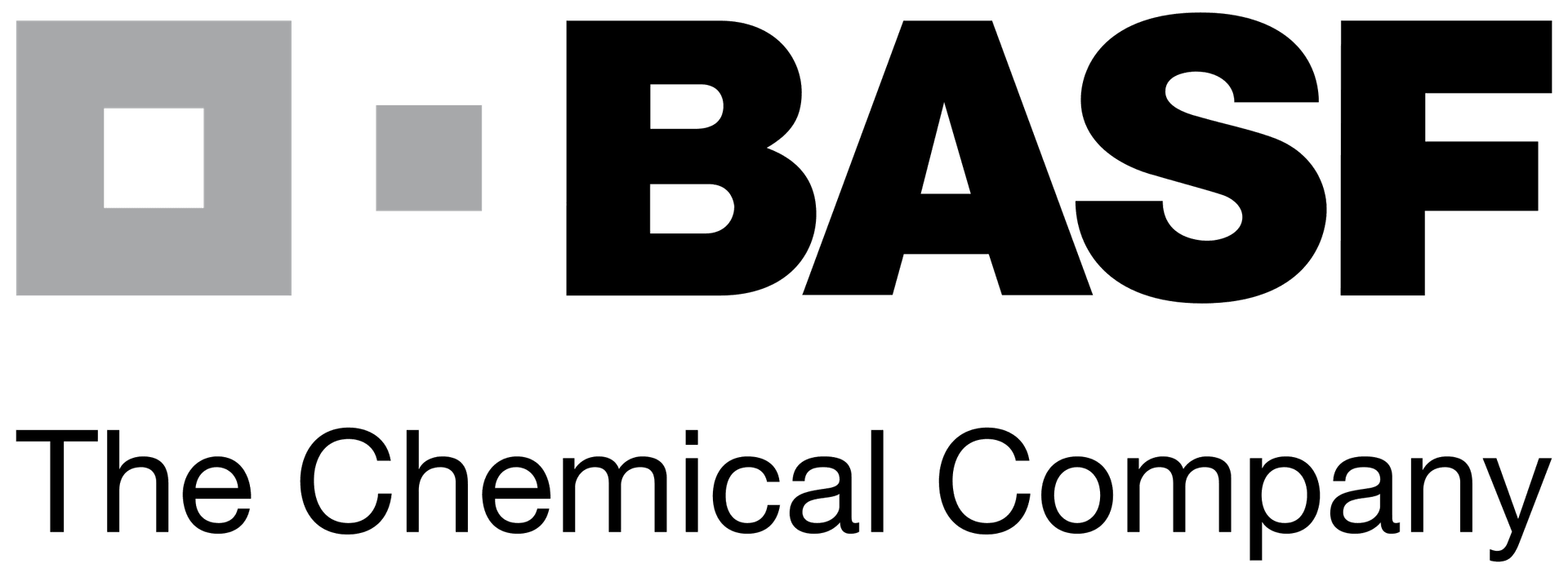 marketing strategy of BASF - logo
