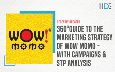 360° Guide to the Marketing Strategy of Wow Momo – with Campaigns & STP Analysis