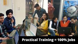 Digital marketing courses in Bathinda -  Gurukull Infosystem Placements 