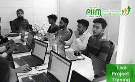 Digital marketing courses in Bathinda - PIIM Culture