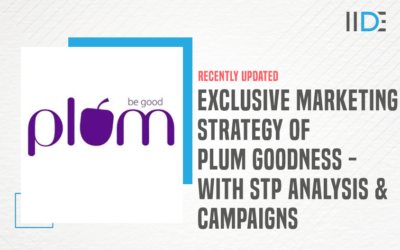 Exclusive Marketing Strategy of Plum Goodness – With STP Analysis & Campaigns