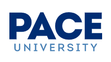 MBA in digital marketing in USA - Pace University logo